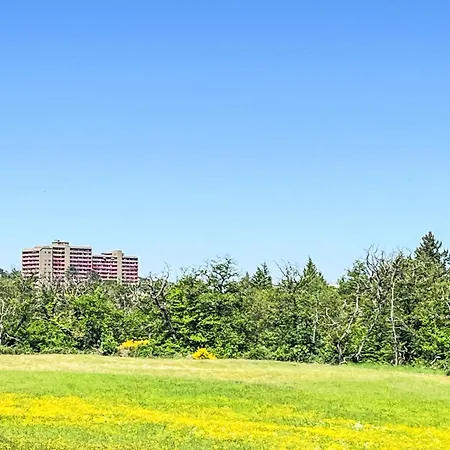 Apartament Wiesenblick - A706 By Interhome *