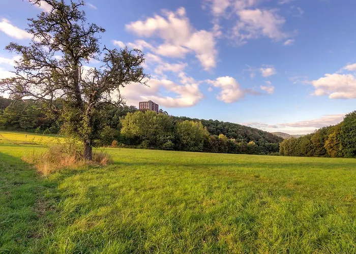 Wiesenblick - A706 By Interhome Apartamento Lahnstein